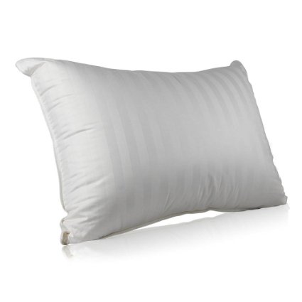 Superior 100% Down 700 Fill Power Hungarian White Goose Down Pillow. Queen Size