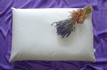 Beans72 Organic Aromatherapy Buckwheat Pillow - Queen Size (20 inches x 30 inches)