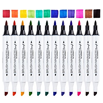 Bianyo Artist Series Alcohol-based Dual Tip Art Markers, Brush and Chisel Nibs (Basic Colors, Set of 12, Display Case)