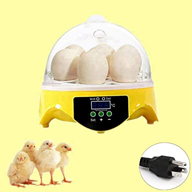 7 Eggs Digital Incubator, Mini Automatic Chicken Duck Goose Birds Hatching Machine, Visible Designed Automatic Turner Egg Incubator