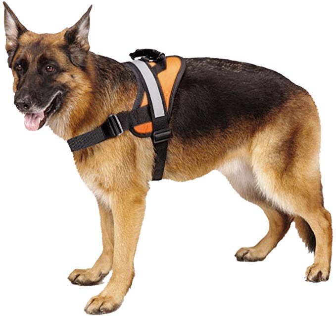 EXPAWLORER Big Dog Harness Soft Reflective No Pull Vest for Medium to Large Dogs