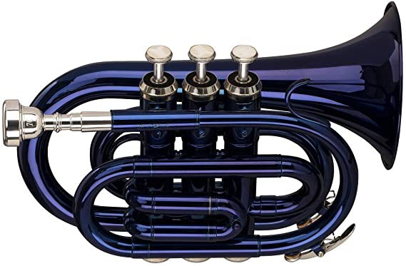 Stagg Trumpet - Pocket, Blue (WS-TR246S)