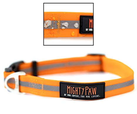 Mighty Paw Waterproof Dog Collar, Smell-Proof Active Dog Gear, Coated Nylon Webbing with Reflective Stripe.