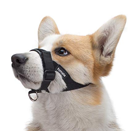 Dog muzzle, Quick fit gentle head collar walk training loop stop pulling halter