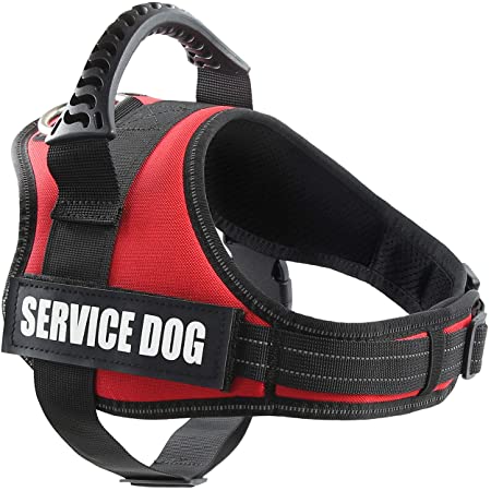 Pawshoppie Real Reflective Service Dog Vest Harness with 2 Free Removable Service Dog and 2 “Emotional Support’’ Patches, Woven Polyester & Nylon, Comfy Soft Padding (XXS(Girth:15-17’’), Red)