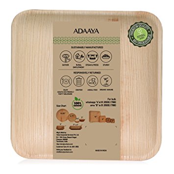 Adaaya Palm Leaf Plates 6 Inch Square Natural & 100% Compostable - Best Disposable Party Plates - 25 Count