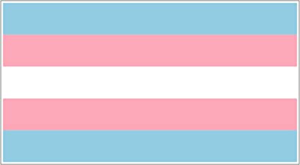 Transgender Flag Decal - Rainbow Sticker for Cars - Support LGBT Transsexual