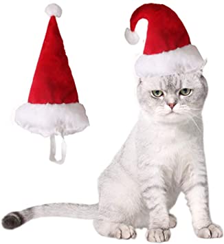 ANAIC Pet Christmas Hat Dog Santa Cap with White Pompom Cat Xmas Headgear Doggy Cute Accessories