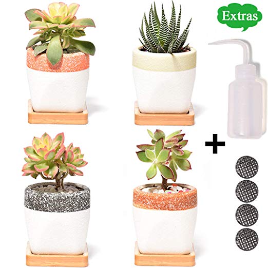 Ceramic Planters, Small Succulent Planter with Drainage/Saucers, 2.5 Inch Flower Pot, Set of 4 Pots for Plants