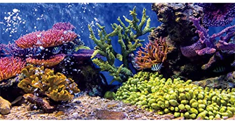 CSFOTO Durable Polyester Aquarium Decor Background Coral Tropical Fish Underwater Fish Tank Background