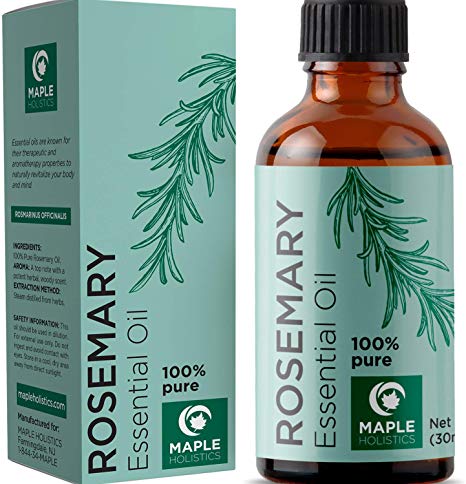 Pure Rosemary Essential - 100% Natural & Therapeutic Grade - Hair Growth, Scalp and Memory Benefits for Women and Men - 1oz - Guaranteed By Maple Holistics by Maple Holistics