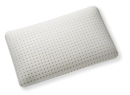 Brooklyn Bedding Ventilated Memory Foam Pillow Made in USA King