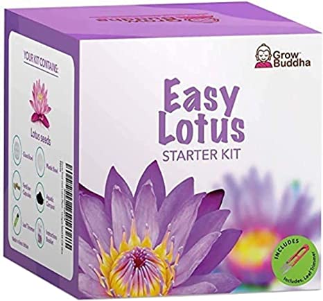 Grow Your Own Lotus Kit – Easily Grow Your own Lotus Plants with Our Complete Beginner Friendly Lotus Seeds Starter Kit – Unique Gift Idea (Lotus Kit)