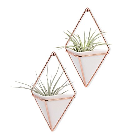 Hanging Vase,LANMU Air Plants Pots,Hanging Wall Decor,Plant Holder,Hanging Plant for Air Plants/Succulents/Cactus Plants/Office Plants/Artificial Plant