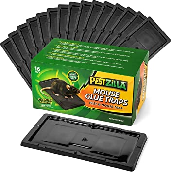 Pestzilla Baited Mouse Trap – Professional Strength Glue Rat Trap – 16 Glue Trays - Perfect for Household Pests & Mouse Traps Indoor and Around a Home
