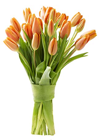 Blooms2Door 20 Orange Tulips (Farm-Fresh Flowers, Cut-to-Order, and Homegrown in the USA)