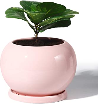 POTEY Planter Ceramic Plant Flower Pot - 5 Inch Large Indoor Glazed Container Bonsai with Drainage Hole Saucer - Large Space - Golbe,Light Pink