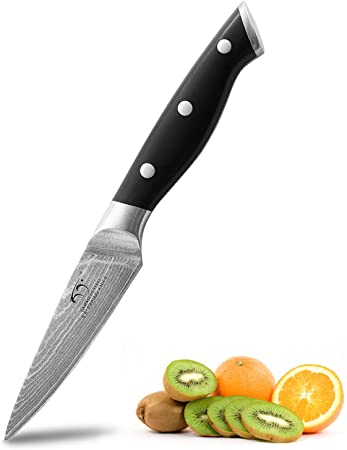 Paring Knife 3.5 Inch, Professional Chef's Knife Forged with Japanese VG-10 Super Steel 67-Layer Damascus, Non-slip ABS Ergonomic Handle, Razor Sharp Lightweight Multipurpose Full Tang Gift Box