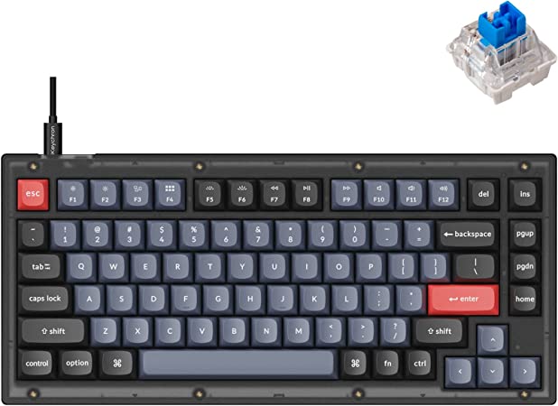 Keychron V1 Wired Custom Mechanical Keyboard, 75% Layout QMK/VIA Programmable Macro with Hot-swappable Keychron K Pro Blue Switch Compatible with Mac Windows Linux (Frosted Black - Translucent)