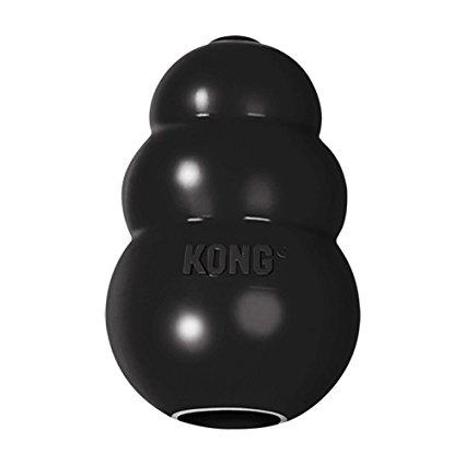 KONG Extreme Dog Toy, Black