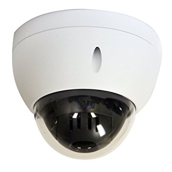 2MP (Megapixel) Outdoor/Indoor Mini PTZ (Pan Tilt Zoom) IP/Network Camera