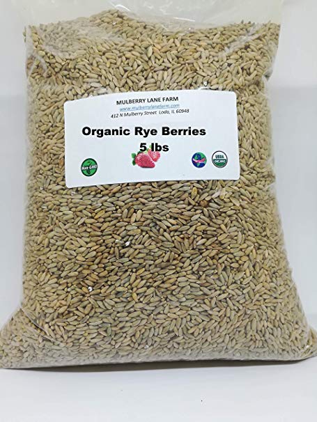 Rye Berries, 5 Pounds USDA Certified Organic, Non-GMO Bulk