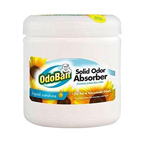 OdoBan 14 oz. Liquid Sunshine Solid Odor Absorber