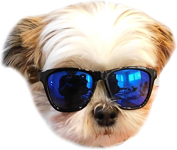 Style Vault G014 Dog Cat Pet 80s Sunglasses Goggles for Small Breeds up to 15lbs