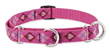 Lupine 3/4 Inch Puppy Love Martingale Combo Collar