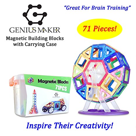 GeniusMaker 71 PCS Magnetic BLOCKS Ferris wheel, Deluxe Building Set in Portable Storage Box