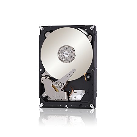 (Old Model) Seagate 1TB NAS HDD SATA 6Gb/s 64MB Cache 3.5-Inch Internal Bare Drive (ST1000VN000)