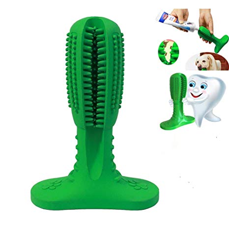 Pinaol New Pets Dog Rubber Mint Bone Toothbrush Brushing Stick Tooth Cleaning Oral Care Puppy Fit 0-50lbs (Green)