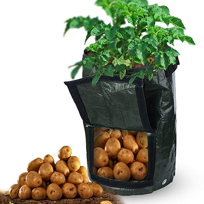 2-Pack 10 Gallon Grow Bags Garden Potato Grow Bag Vegetables Planter Tub with Flap and Handles for Harvesting