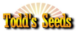 Todd's Seeds - Hard Red Wheatgrass - 10 Lb's - Sprouting Wheat Grass Seeds for Sale - Plant & Grow Wheatgrass, Flour, Grain & Bread - Wheatgrass Juice - Excellent Germination - Sprouting Seeds - Sprouted Wheat