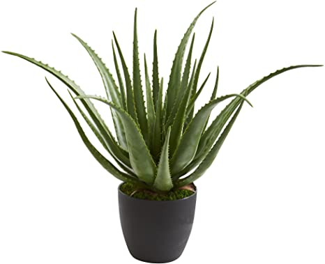 Nearly Natural Aloe Artificial Silk Plants Green
