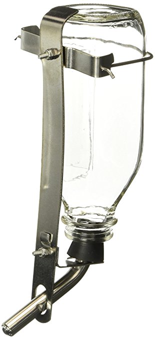 Lixit Pet Glass Water Bottle, 32-Ounce
