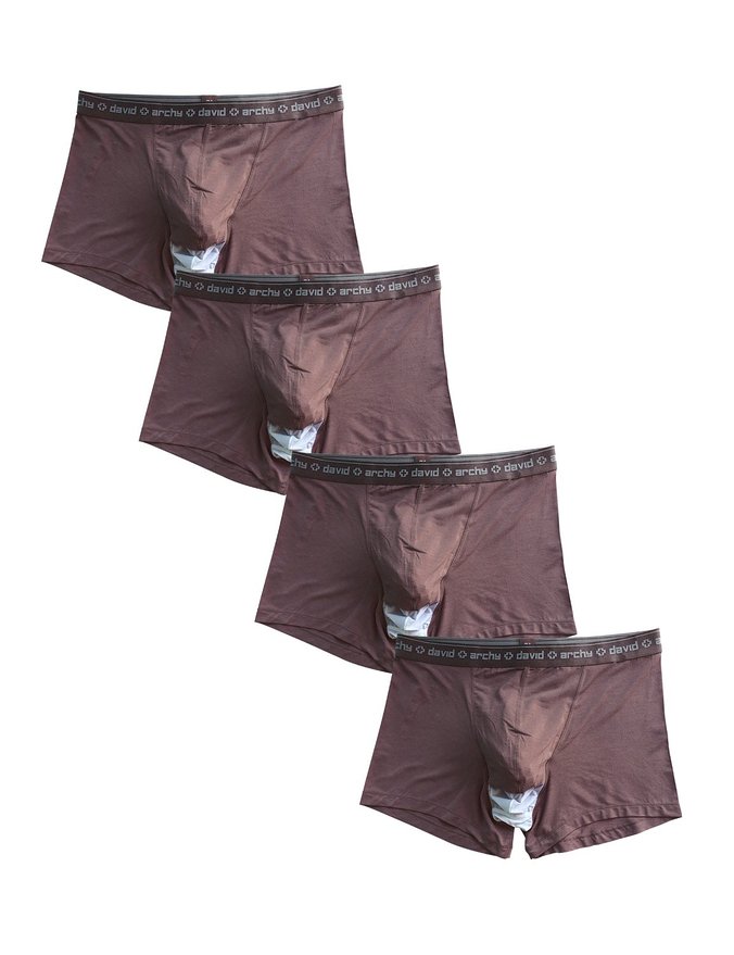 David Archy Mens 4 Pack Micro Modal Separate Pouches Trunks