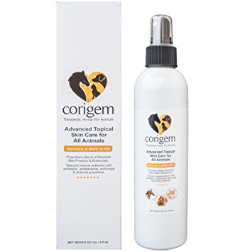 Corigem Balm - Pet Wound, Itch, and Infection Skin Care - Great Antiseptic & Antifungal Spray for Dogs Cats and Horses