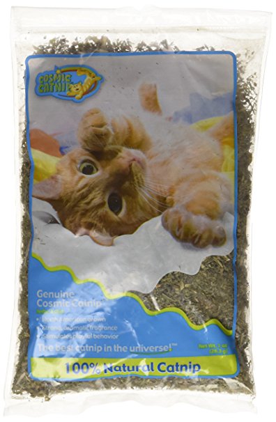 OurPets Catnip polybag, 1 ounce