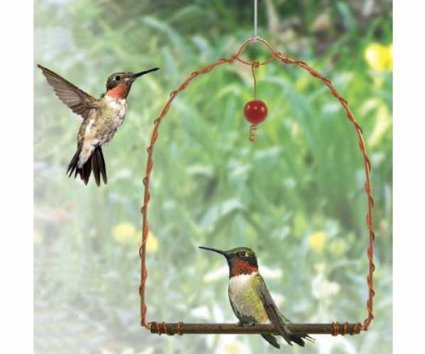 Songbird Essentials SEHHHUMS Copper Hummingbird Swing
