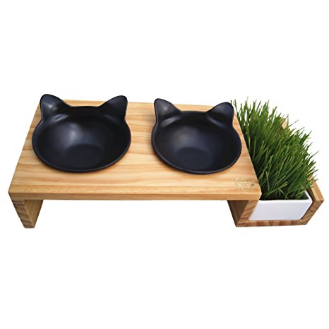 ViviPet Cat Dining Table - 15° Tilted Platform Pet Feeder_ Solid Pine Stand with Ceramic Bowls – Elevated Cat feeder Raised Cat Bowl Mykonos Collection