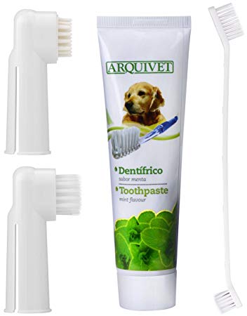 QUMY Toothpaste for Dogs 3.5 oz Pet Dental Care Kit with 2 Finger Toothbrushes, 1 Dual Sided Brushes and 1 Dog Toothpaste (3.5-Ounce)