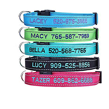 Personalized Dog Collar,Custom Embroidered Pet Name & Phone Number - Quick Release Buckle & D-Ring with ID Tags & Leash