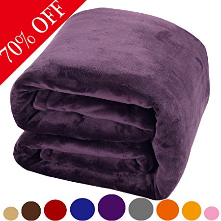 Shilucheng Fleece Soft Warm Fuzzy Plush Lightweight Twin (90-Inch-by-65-Inch) Couch Bed Blanket, Purple