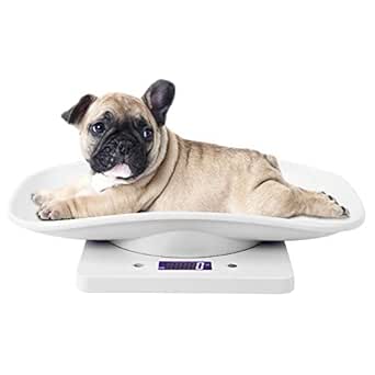 Pet Weight Scale 10kg/1g Digital Small Cats Dogs Measure Tool Electronic Kitchen Scale for Toddler Small Puppy Cat Dog