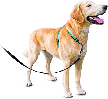 PetSafe 3in1 Harness, from The Makers of The Easy Walk Harness