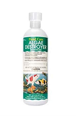 API Pondcare Algae Destroyer Advanced, 16-Ounce