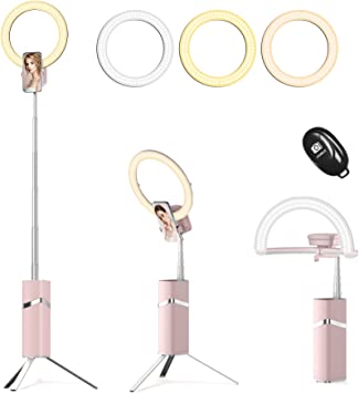 YENDILI Selfie Ring Light with Stand, 10" Travel Portable Led Ring Light with 76" Tripod Stand and 9 Dimmable Light for Video Online Class Live Streaming Makeup YouTube TikTok Vlog Zoom (Pink)