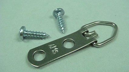 100 Pack 2 Hole D Ring / Triangle Hangers with Screws by AMS