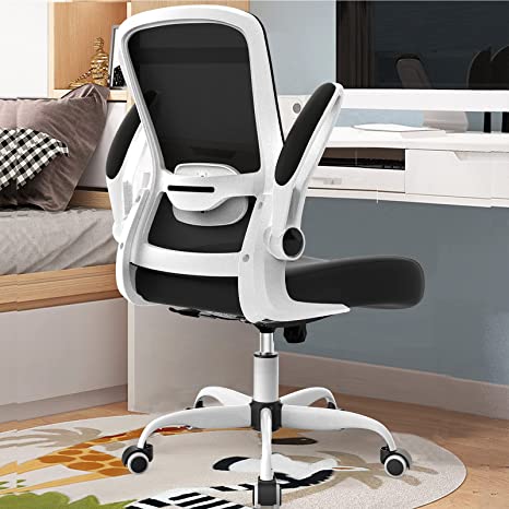 Office Chair, Ergonomic Desk Chair with Adjustable Lumbar Support & Seat Height, High Back Mesh Computer Chair with Flip-up Armrests-BIFMA Passed Task Chairs, Executive Chair for Home Office… (White)